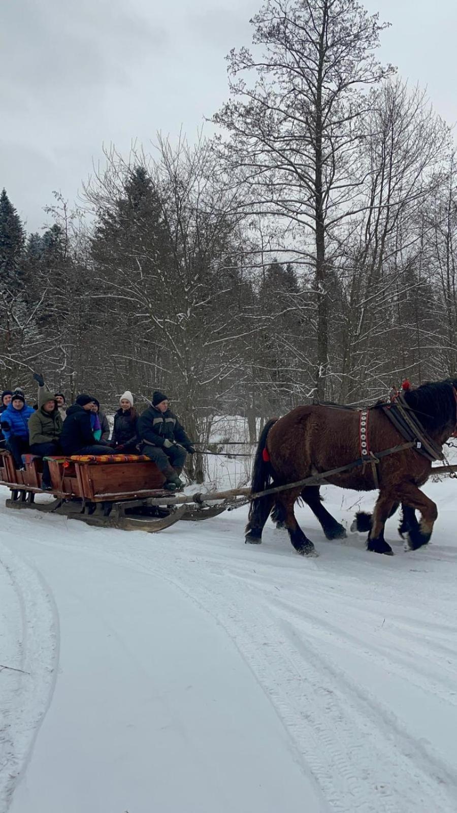 Latarnia Wagabundy Bieszczady Hotel Wola Michowa Bagian luar foto