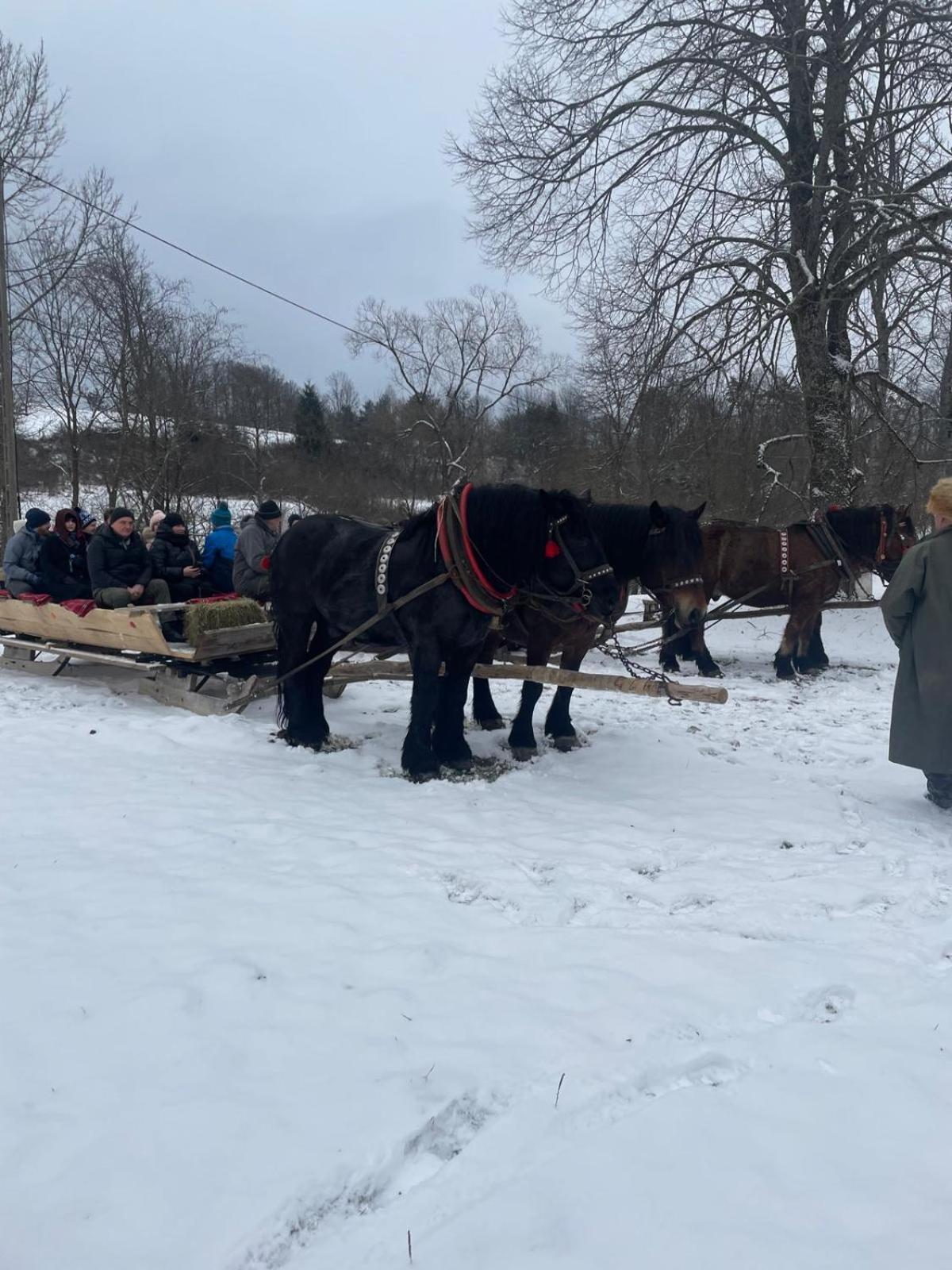 Latarnia Wagabundy Bieszczady Hotel Wola Michowa Bagian luar foto