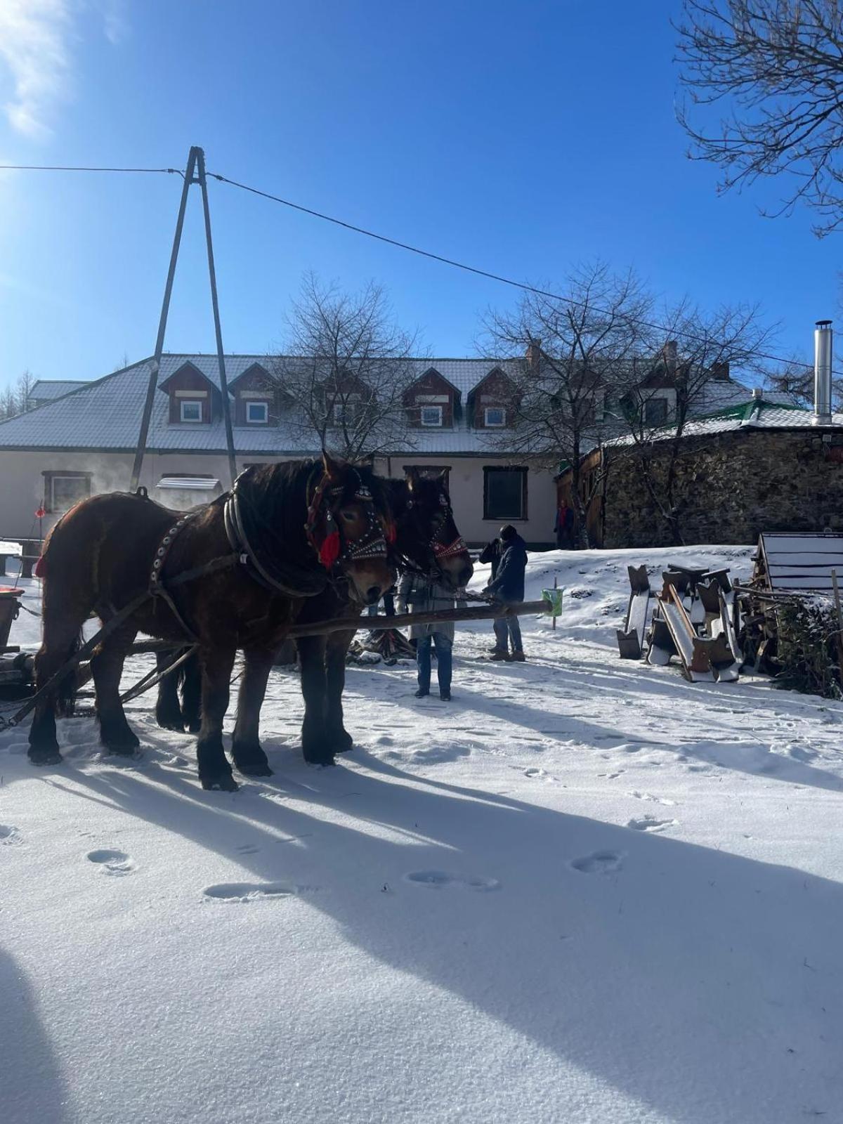 Latarnia Wagabundy Bieszczady Hotel Wola Michowa Bagian luar foto