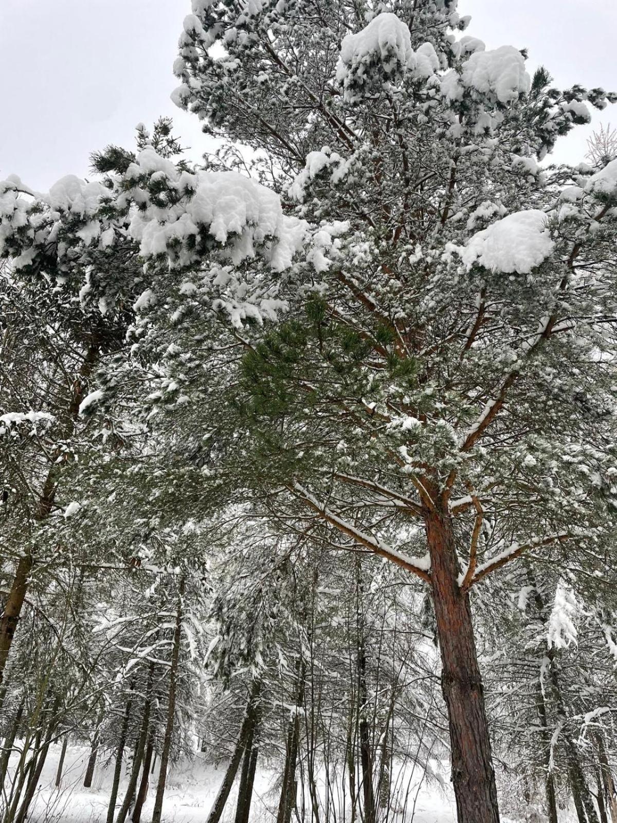 Latarnia Wagabundy Bieszczady Hotel Wola Michowa Bagian luar foto
