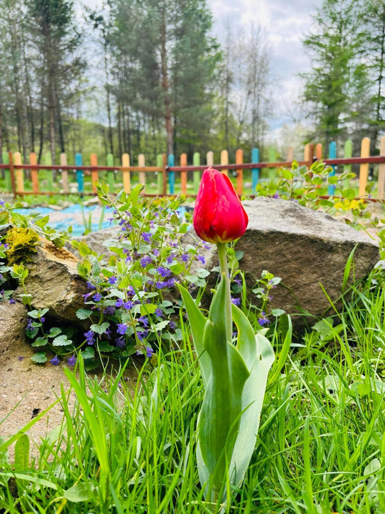 Latarnia Wagabundy Bieszczady Hotel Wola Michowa Bagian luar foto