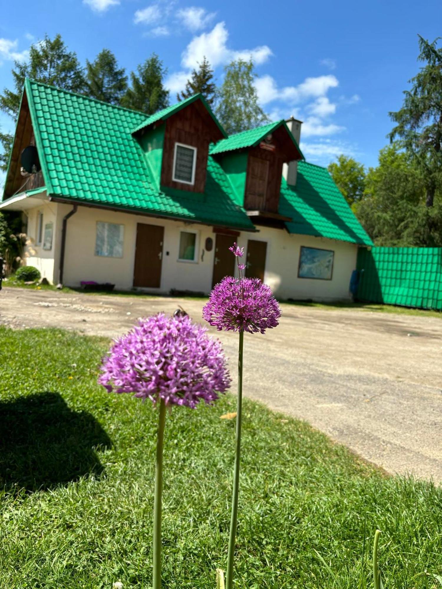 Latarnia Wagabundy Bieszczady Hotel Wola Michowa Bagian luar foto