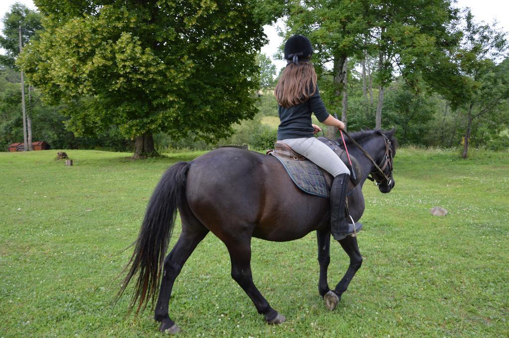 Latarnia Wagabundy Bieszczady Hotel Wola Michowa Bagian luar foto