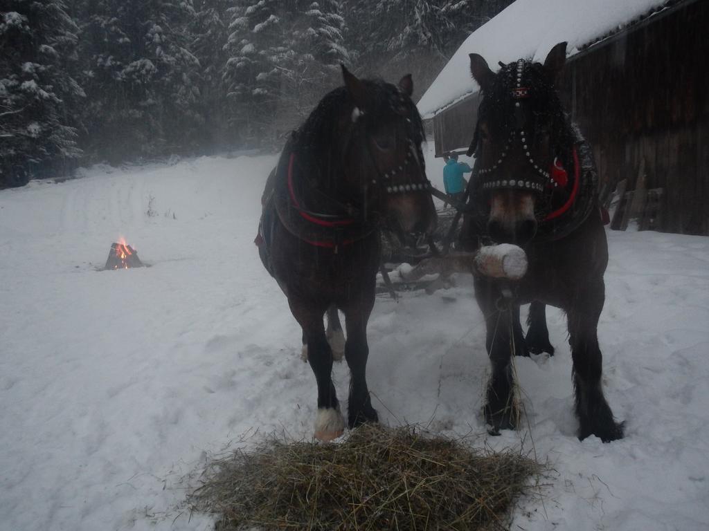 Latarnia Wagabundy Bieszczady Hotel Wola Michowa Bagian luar foto